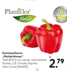 BayWa Bau- und Gartenmärkte - Gemüsepflanze "Meisterklasse" Angebot im Prospekt Gemüsepflanze "Meisterklasse" bei BayWa Bau- und Gartenmärkte im Prospekt "" für 2,79 €