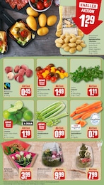 Baum im REWE Prospekt "Dein Markt" auf Seite 9