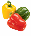 Aktuelle Paprika Angebote bei Netto Marken-Discount in Magdeburg Aktuelles Paprika-Mix Angebot bei Netto Marken-Discount in Magdeburg ab 1,59 €
