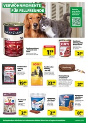 Aktueller Hagebaumarkt Prospekt mit Hundefutter, "HOL DIR FREUDE IN DEINEN GARTEN", Seite 20