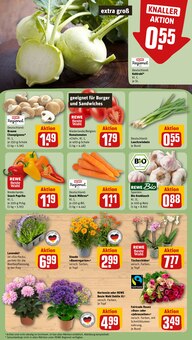 Champignons im REWE Prospekt "Dein Markt" mit 22 Seiten (Essen)