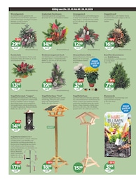 V-Markt Gartendeko im Prospekt V-Markt Gartendeko im Prospekt