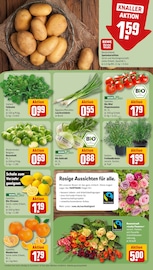 Kartoffeln im REWE Prospekt in Gießen Aktueller REWE Prospekt mit Kartoffeln, "Dein Markt", Seite 11