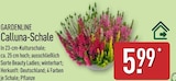 Calluna-Schale von Gardenline für 5,99 € bei ALDI Nord im Angebot Calluna-Schale von Gardenline im aktuellen ALDI Nord Prospekt