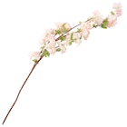 Kunstblume Kirschblüte Angebote bei Ernstings family Dormagen für 7,99 €