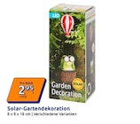 Solar-Gartendekoration von  im aktuellen Action Prospekt für 2,95 €