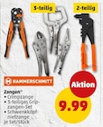 Zangen von Hammerschmitt im aktuellen Penny Prospekt für 9,99 €