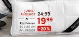 Kopfkissen Angebote bei AWG Amberg für 19,99 €