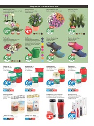 V-Markt Kerzen im Prospekt V-Markt Kerzen im Prospekt