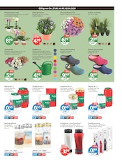Aktueller V-Markt Prospekt mit Kerzen, "V-Markt einfach besser einkaufen", Seite 13