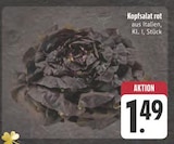 Kopfsalat rot im aktuellen Prospekt bei EDEKA in Marktbergel