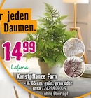 Kunstpflanze Farn von Lafiora im aktuellen Hornbach Prospekt für 14,99 €