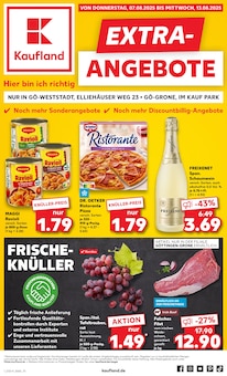 Aktueller Kaufland Prospekt "EXTRA-ANGEBOTE" Seite 1 von 8 Seiten für Göttingen