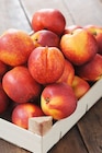 Nectarine en promo chez Netto Nectarine dans le catalogue Netto