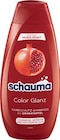 Shampoo oder Spülung von Schauma im aktuellen Netto Marken-Discount Prospekt
