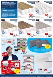 ROLLER Streichen im Prospekt 