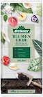 Blumenerde im Angebot bei Dehner Garten-Center in Ravensburg Blumenerde Angebote von Dehner bei Dehner Garten-Center Ravensburg für 6,99 €