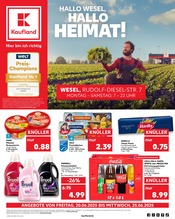 Kaufland Supermarkt Prospekt der aktuellen Woche mit 56 Seiten, gültig von 19.06.2025 bis 25.06.2025, in Hamminkeln und Umgebung Aktueller Kaufland Supermarkt Prospekt in Hamminkeln und Umgebung, "Aktuelle Angebote" mit 56 Seiten, 19.06.2025 - 25.06.2025