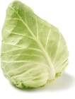 Netto mit dem Scottie Nietwerder - Spitzkohl Angebot im Prospekt Spitzkohl bei Netto mit dem Scottie im Nietwerder Prospekt für 0,99 €