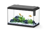 AQUATLANTIS-Aquarium d'eau froide et d'eau douce coloris noir Aquatlantis Explorer Vienna 34 L - 35 x 50 x 25 cm en promo chez Botanic AQUATLANTIS-Aquarium d'eau froide et d'eau douce coloris noir Aquatlantis Explorer Vienna 34 L - 35 x 50 x 25 cm dans le catalogue Botanic