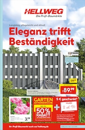 Aktueller Hellweg Baumarkt Prospekt in Niedersachswerfen und Umgebung, "Die Profi-Baumärkte" mit 20 Seiten, 02.06.2025 - 07.06.2025