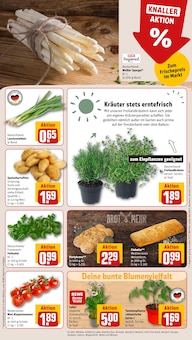 Brot im REWE Prospekt "Dein Markt" mit 34 Seiten (Siegen (Universitätsstadt))