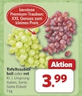 combi Rheine Prospekt mit  im Angebot für 3,99 €