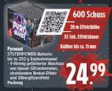 Aktuelle Batterie Angebote bei E center in Dresden Aktuelles Pyronaut SYSTEMPOWER-Batterie Angebot bei E center in Dresden ab 24,99 €