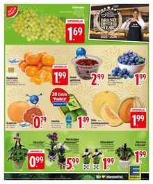 Pflanzen im aktuellen EDEKA Prospekt (Ingolstadt) Pflanzen im EDEKA Prospekt "Wir lieben Lebensmittel." mit 30 Seiten (Ingolstadt)