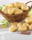 Pomme de terre de consommation nouvelle récolte en promo chez Super U Rezé à 2,99 €