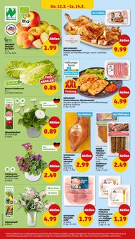 Paprika im Penny Prospekt "Wer günstig will, muss Penny." mit 40 Seiten (Magdeburg)