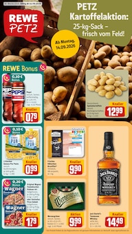 Aktueller REWE Prospekt "Dein Markt" Aktueller REWE Prospekt