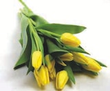 Bouquet de 9 tulipes de glace U dans le catalogue U Express