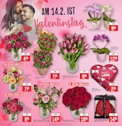 Aktueller Marktkauf Prospekt mit Pflanzen, "Aktuelle Angebote", Seite 2