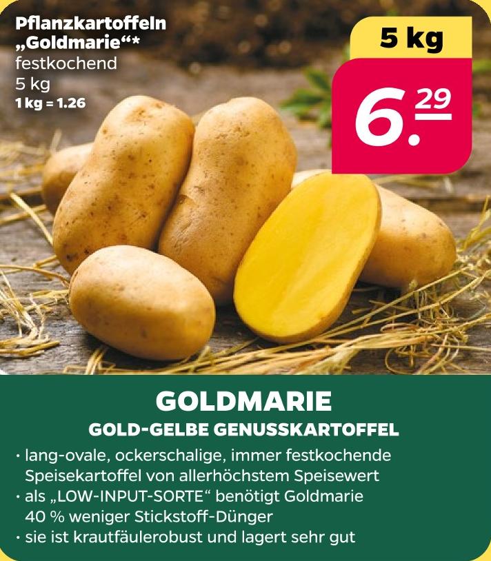 Pflanzkartoffeln Goldmarie