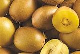 Kiwi Jaune - Zespri dans le catalogue Netto