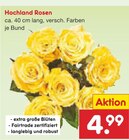 Hochland Rosen für 4,99 € bei Netto Marken-Discount im Angebot Hochland Rosen im aktuellen Netto Marken-Discount Prospekt