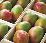Mangue en promo chez Netto Mangue dans le catalogue Netto
