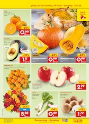 Pilze im Netto Marken-Discount Prospekt in Offenbach Aktueller Netto Marken-Discount Prospekt mit Pilze, "Aktuelle Angebote", Seite 53