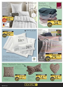 Kissen im BRAUN Möbel-Center Prospekt "60 JAHRE BRAUN MÖBEL CENTER" mit 24 Seiten (Freiburg (Breisgau))