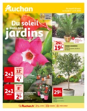 Prospectus Auchan Hypermarché à Nantes, "Du soleil dans nos jardins", 4 pages de promos valables du 19/03/2024 au 01/04/2024
