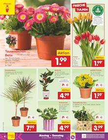 Blumen im aktuellen Netto Marken-Discount Prospekt (Jena) Blumen im Netto Marken-Discount Prospekt "Aktuelle Angebote" mit 54 Seiten (Jena)