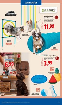 Promotion Laisse Pour Chien dans le prospectus Lidl, valable du 22/05/2025 au 28/05/2025 Promo Laisse Pour Chien dans le catalogue Lidl du moment à la page 65