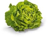 Aktuelles Kopfsalat Angebot bei Netto Marken-Discount in Bochum ab 1,00 €