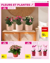Orchidée Angebote im Prospekt "TOUTES EN BEAUTÉ" von Carrefour auf Seite 9