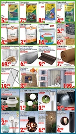 Aktueller Wreesmann Prospekt mit Steine, "DEIN SAISON- & SONDERPOSTENMARKT!", Seite 2