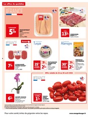 Orchidée Angebote im Prospekt "Auchan" von Auchan Hypermarché auf Seite 8
