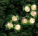 Solar-Lichterkette Angebote von Tele Welt bei Netto Marken-Discount Oldenburg für 9,99 €
