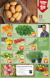 Kartoffeln im REWE Prospekt in Gießen Aktueller REWE Prospekt mit Kartoffeln, "Dein Markt", Seite 11