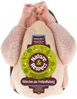 Frische Freiland-Hähnchen im Angebot bei REWE in Bruchsal Frische Freiland-Hähnchen Angebote von Nature & Respect bei REWE Bruchsal für 7,99 €